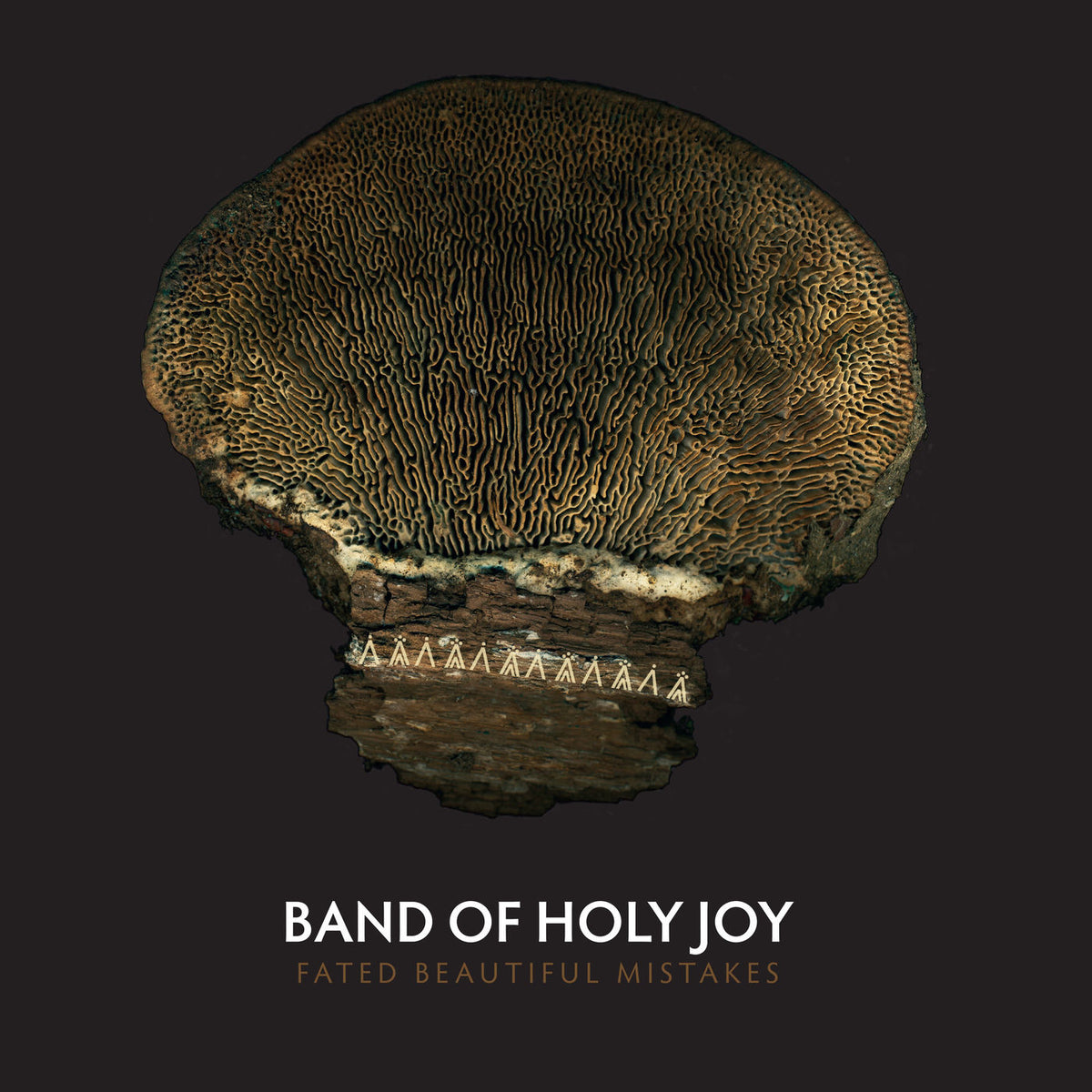 Band of Holy Joy – Fated Beautiful Mistakes vinyl record cover