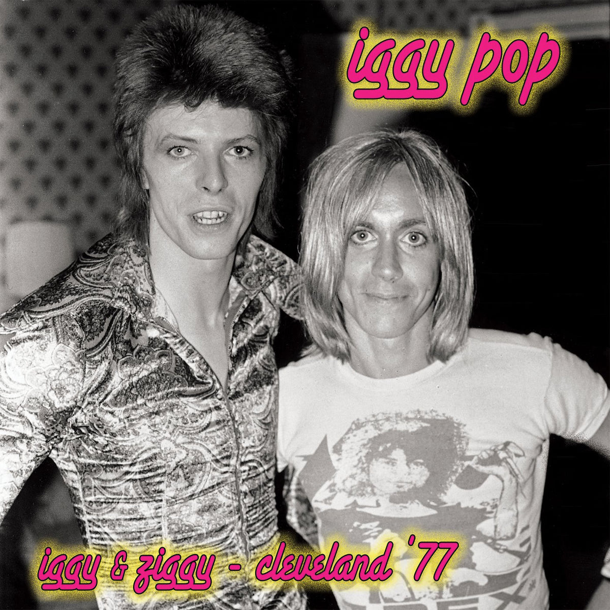 Iggy Pop – Iggy & Ziggy - Cleveland '77 vinyl cover