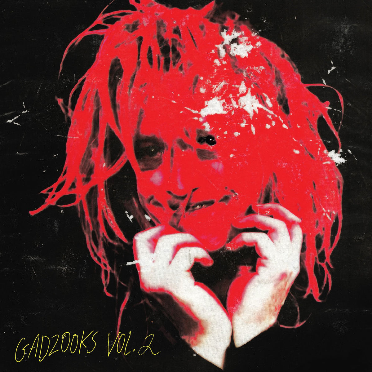 Caleb Landry Jones – Gadzooks Vol. 2 vinyl cover