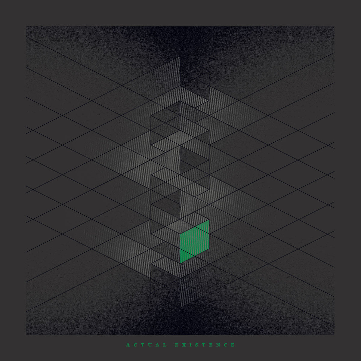 RLYR – Actual Existence vinyl record cover
