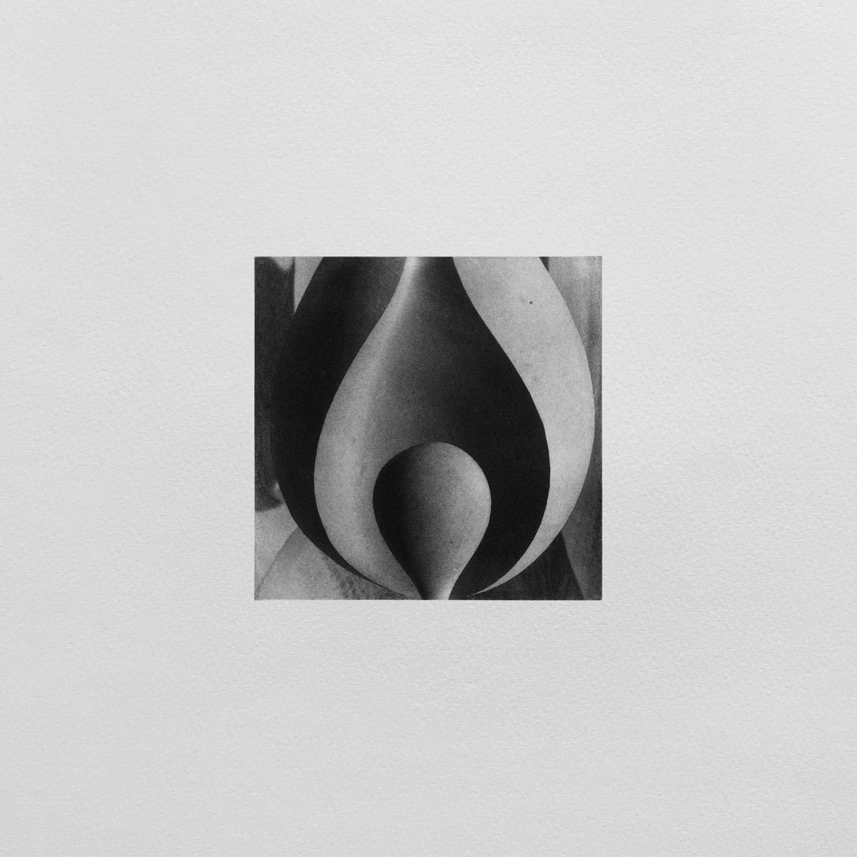 Hame – Almost Home vinyl cover