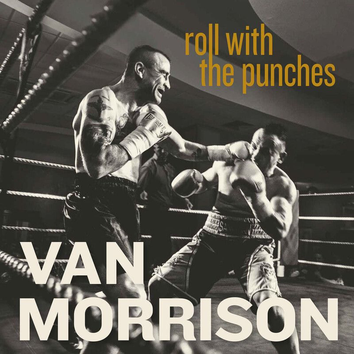 Van Morrison – Roll With The Punches (2LP) vinyl record cover