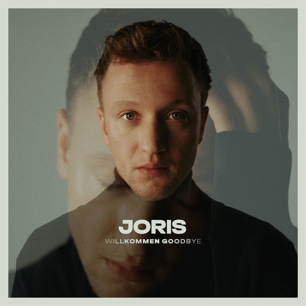 Joris – Willkommen Goodbye vinyl record cover