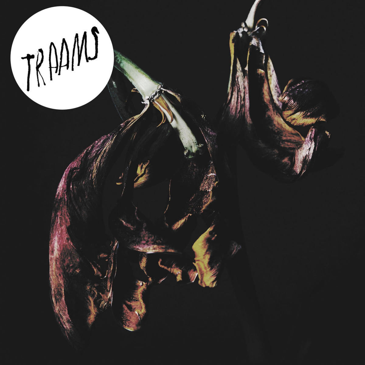Traams – GRIN vinyl record cover
