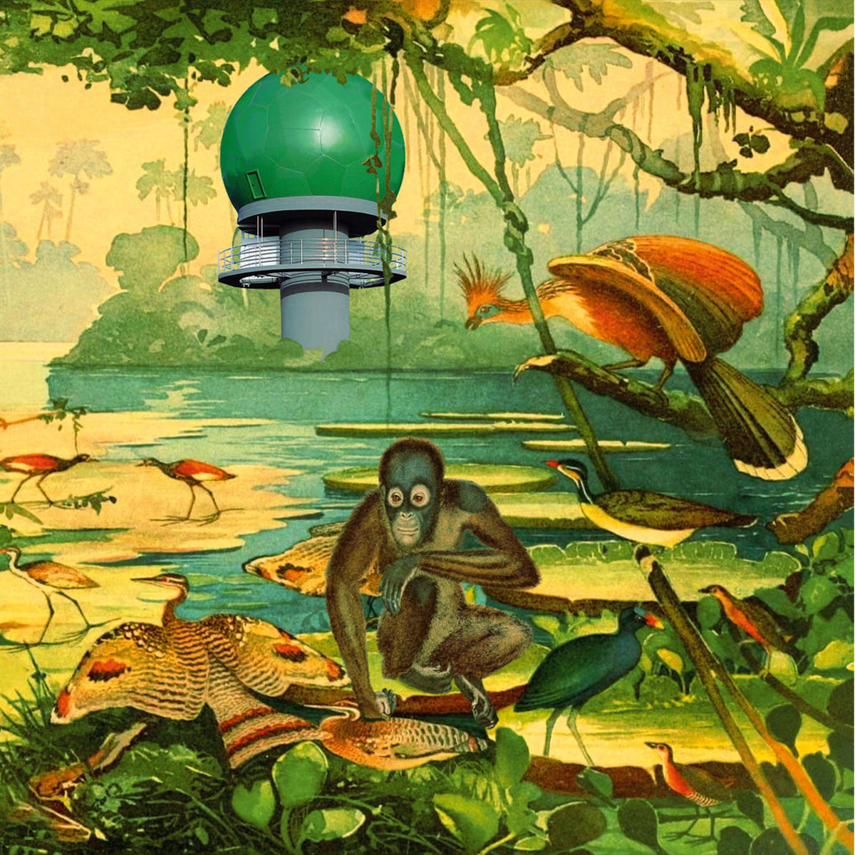 Various Artists – Radar Keroxen vinyl record cover