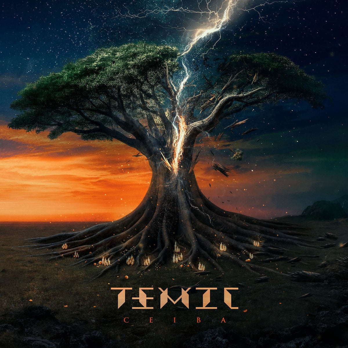 TEMIC – Ceiba vinyl cover