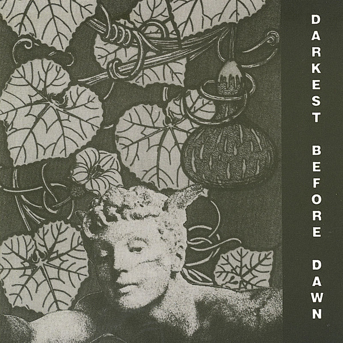 Dark Day – Darkest Before Dawn vinyl record cover