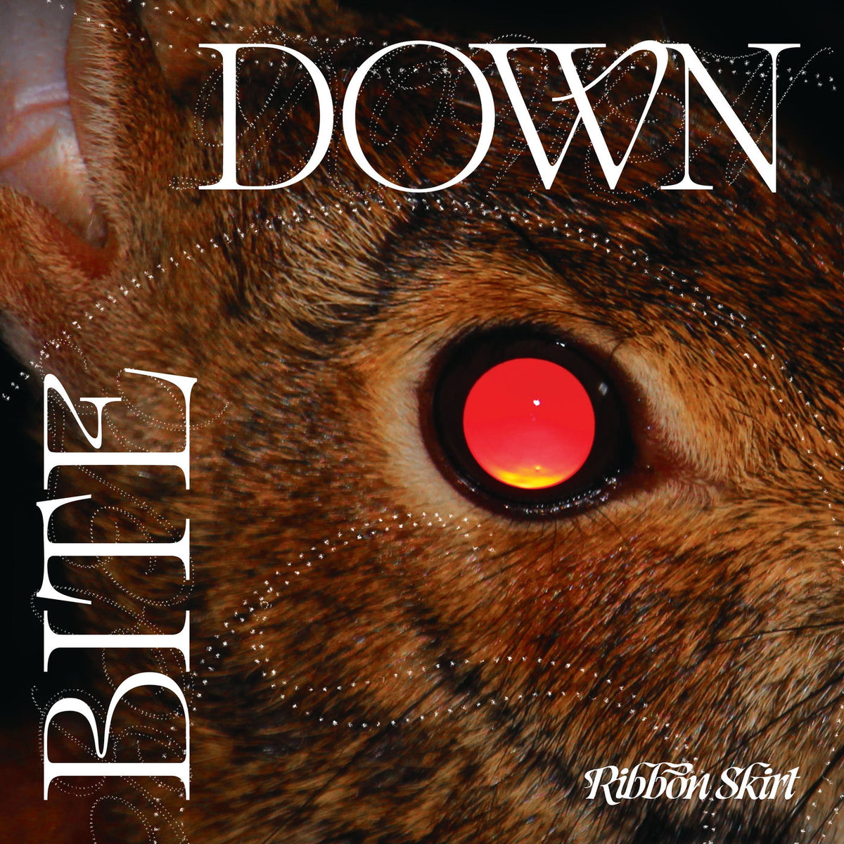 Ribbon Skirt – Bite Down vinyl record cover