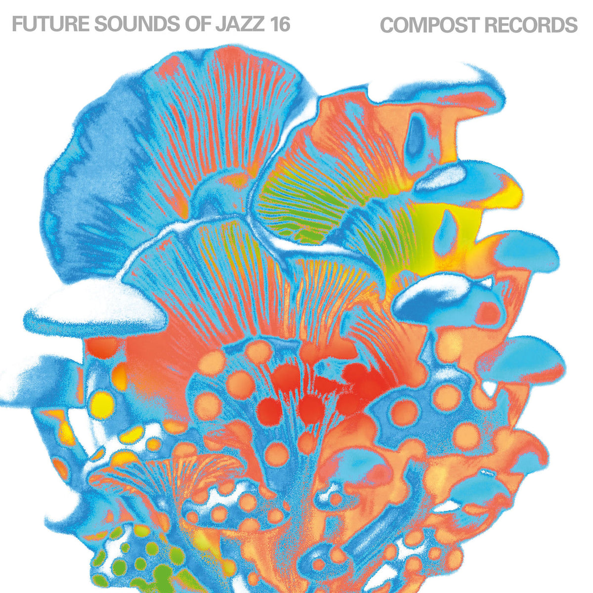 Various Artists – Future Sounds of Jazz vinyl record cover