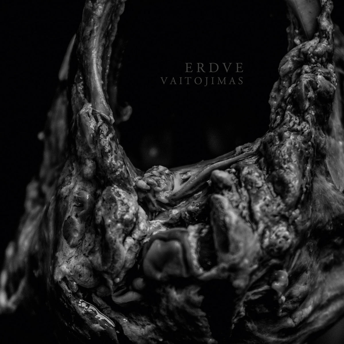 Erdve – Vaitojimas (Ltd. Ed. Lp) vinyl record cover