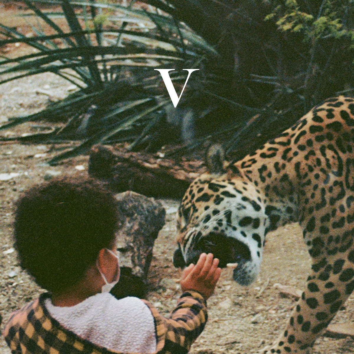 Unknown Mortal Orchestra – V (2LP) vinyl record cover