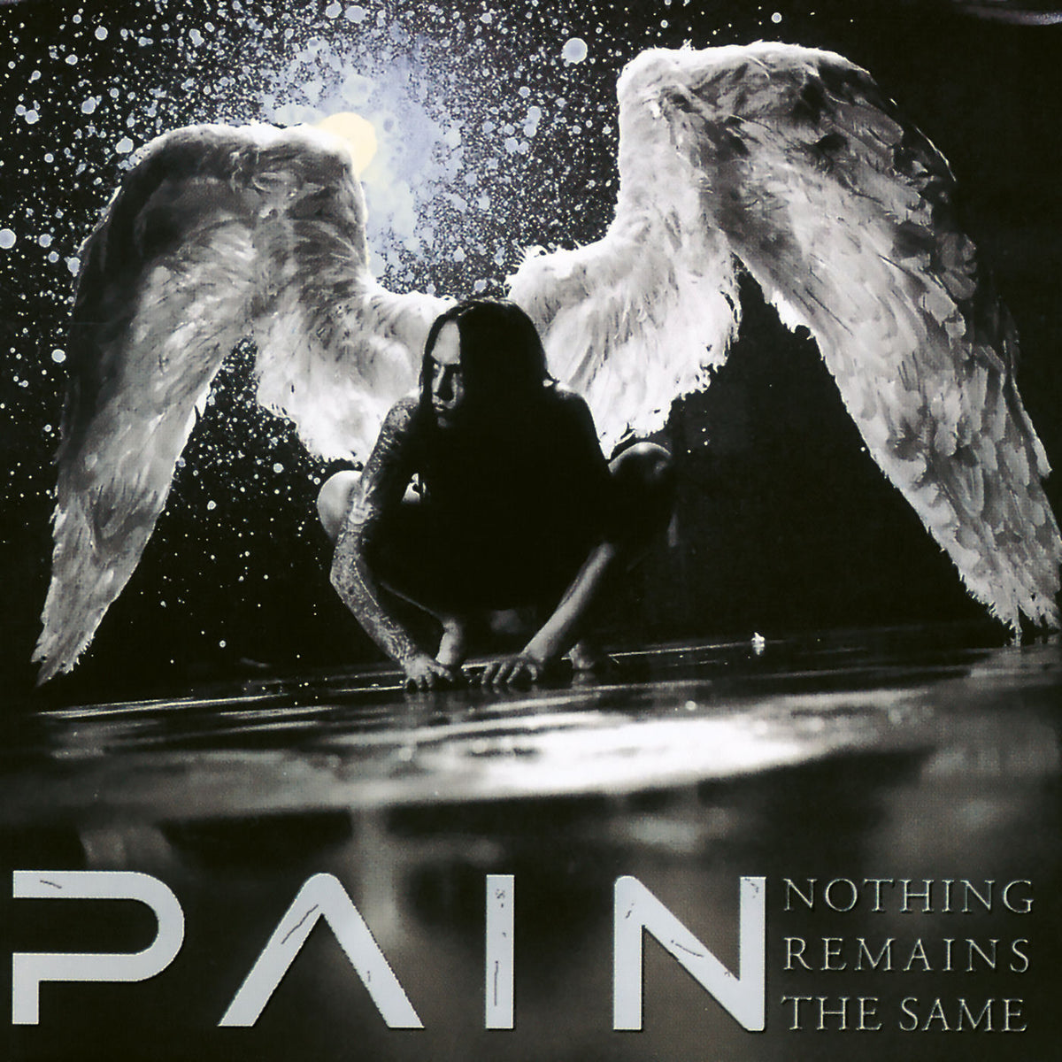 Pain – Nothing Remains the Same vinyl record cover