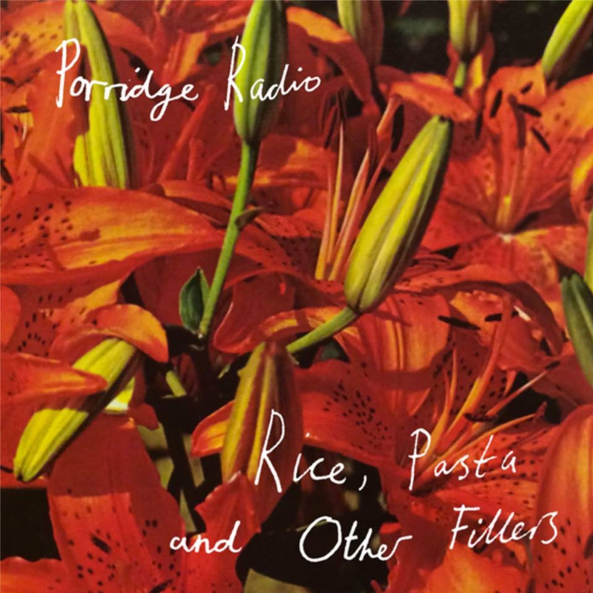 Porridge Radio – Rice, Pasta And Other Fillers vinyl cover