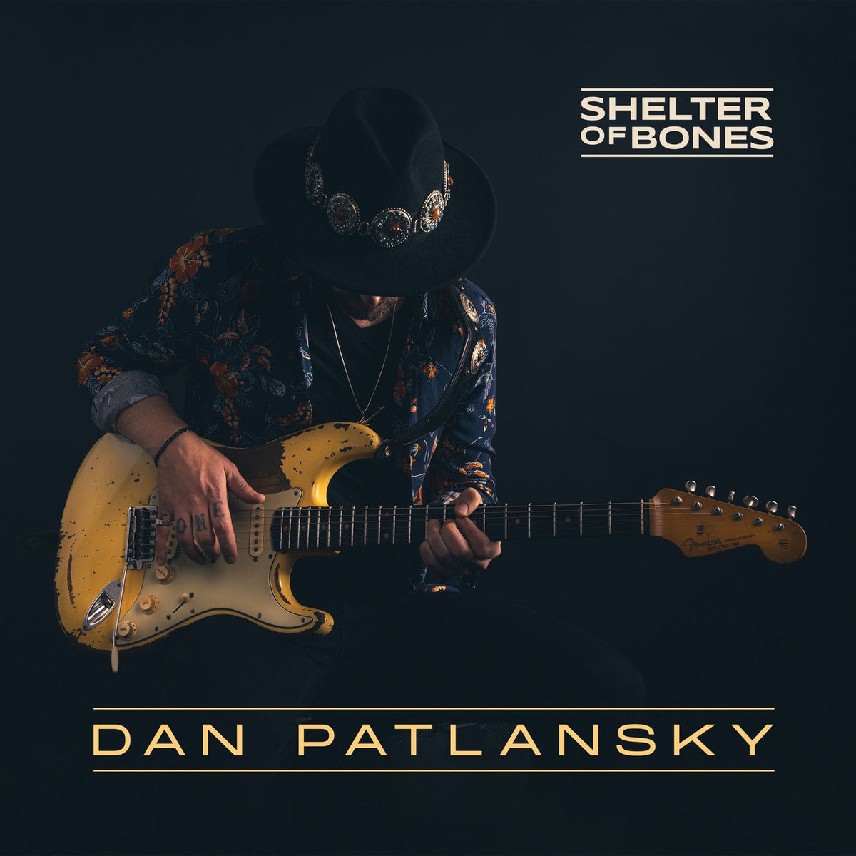 Dan Patlansky – Shelter of Bones vinyl record cover