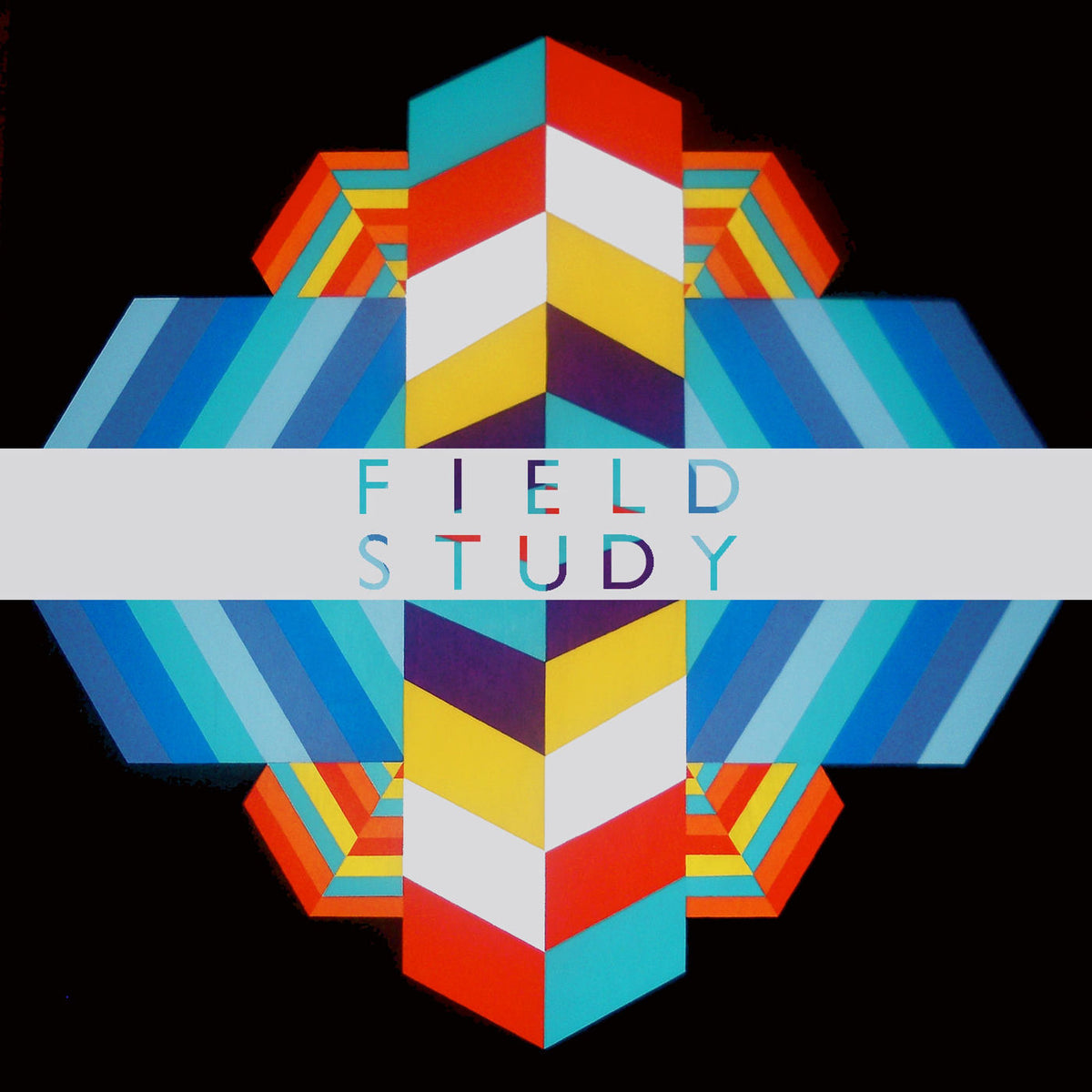 Field Study – Feverland vinyl record cover