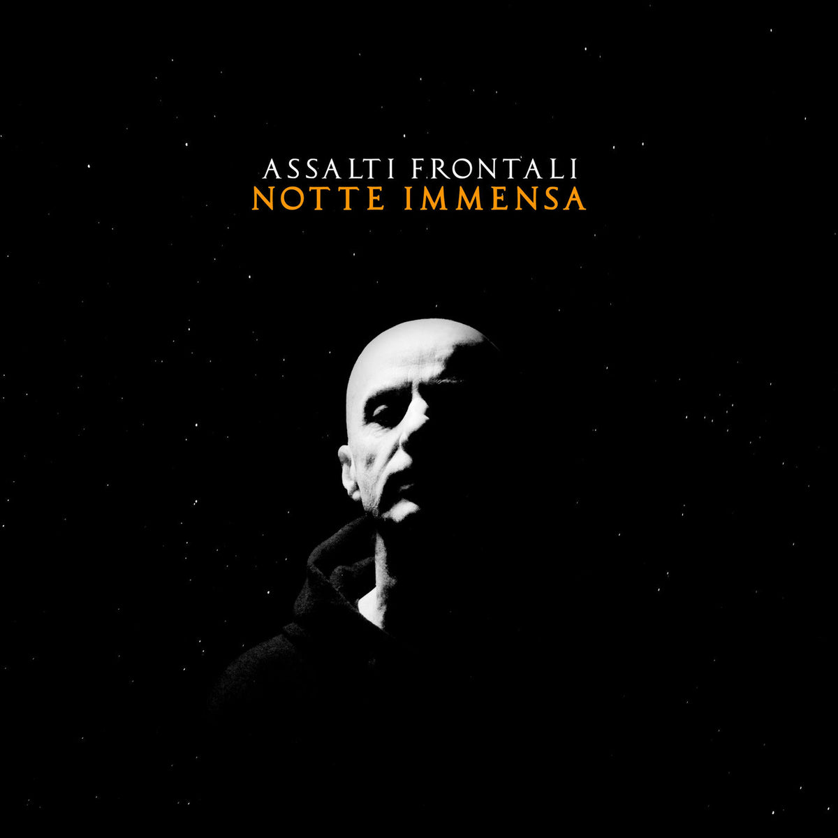 Assalti Frontali – Notte Immensa vinyl record cover