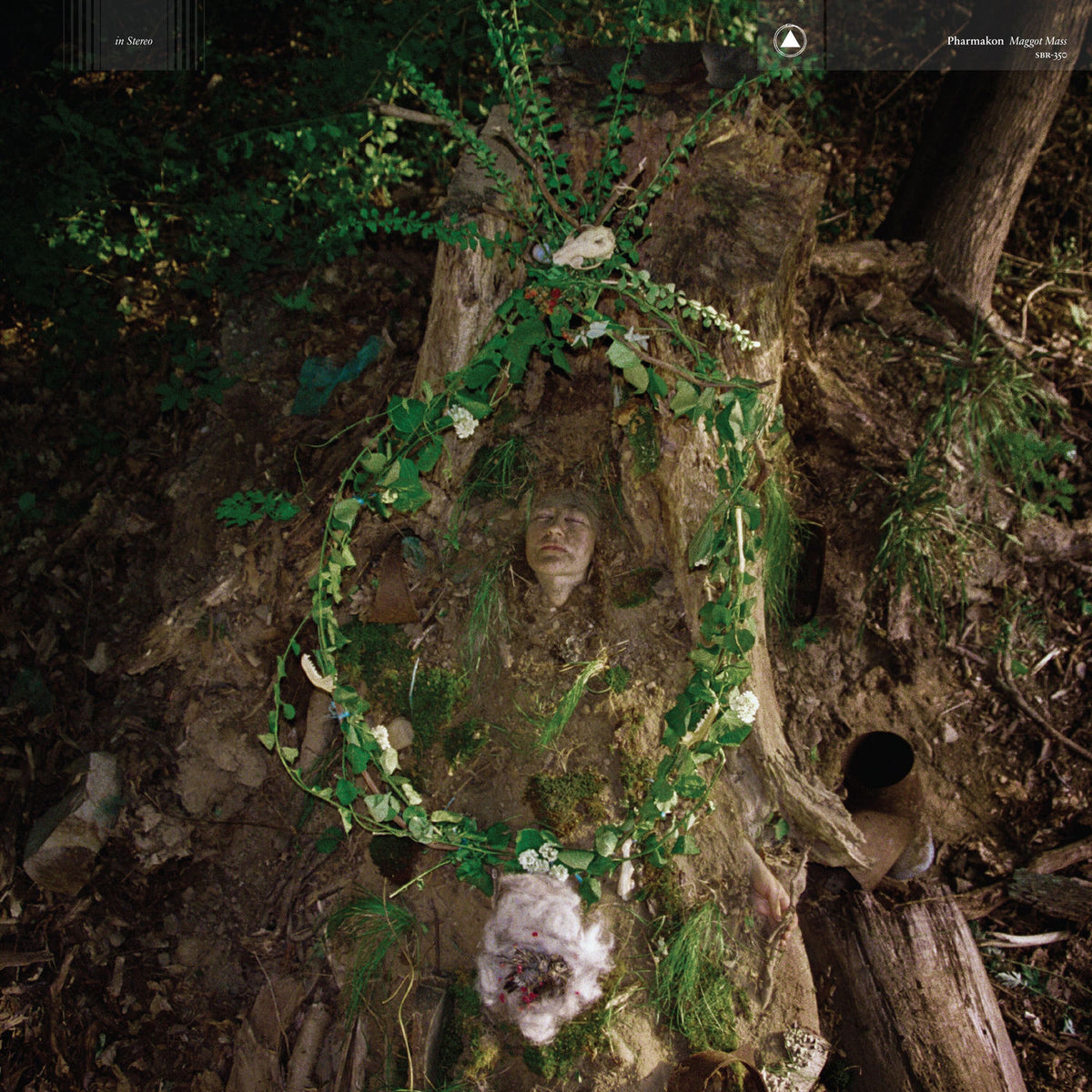 Pharmakon – Maggot Mass — album cover