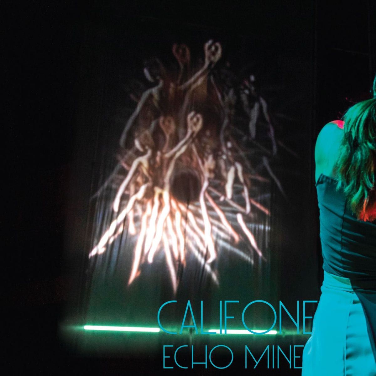 Califone – Echo Mine vinyl record cover