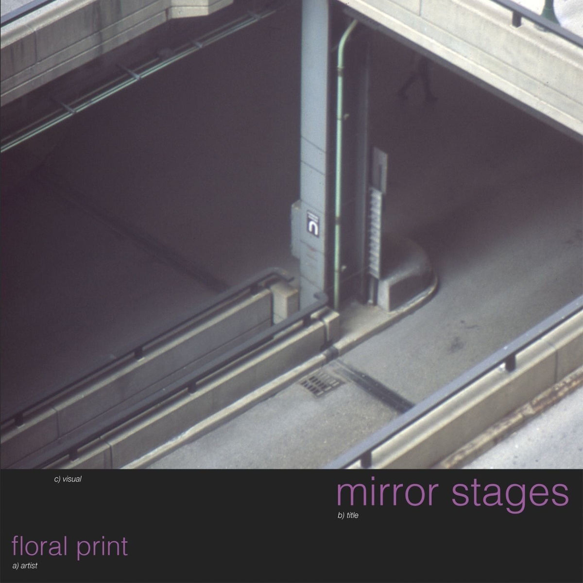 Floral Print – mirror stages vinyl cover