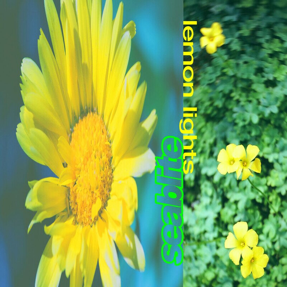 Seablite – Lemon Lights vinyl cover