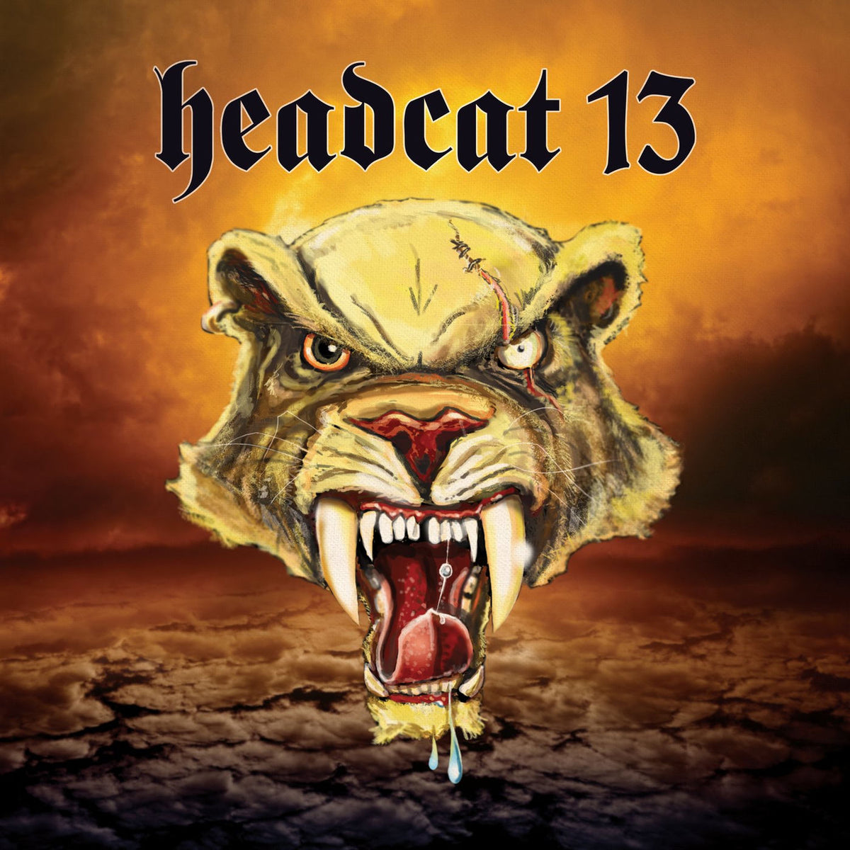 Headcat 13 – Headcat 13 -Ltd- vinyl record cover