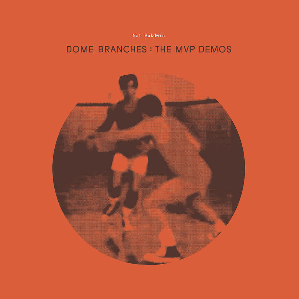Nat Baldwin – Dome Branches: The MVP Demos vinyl cover