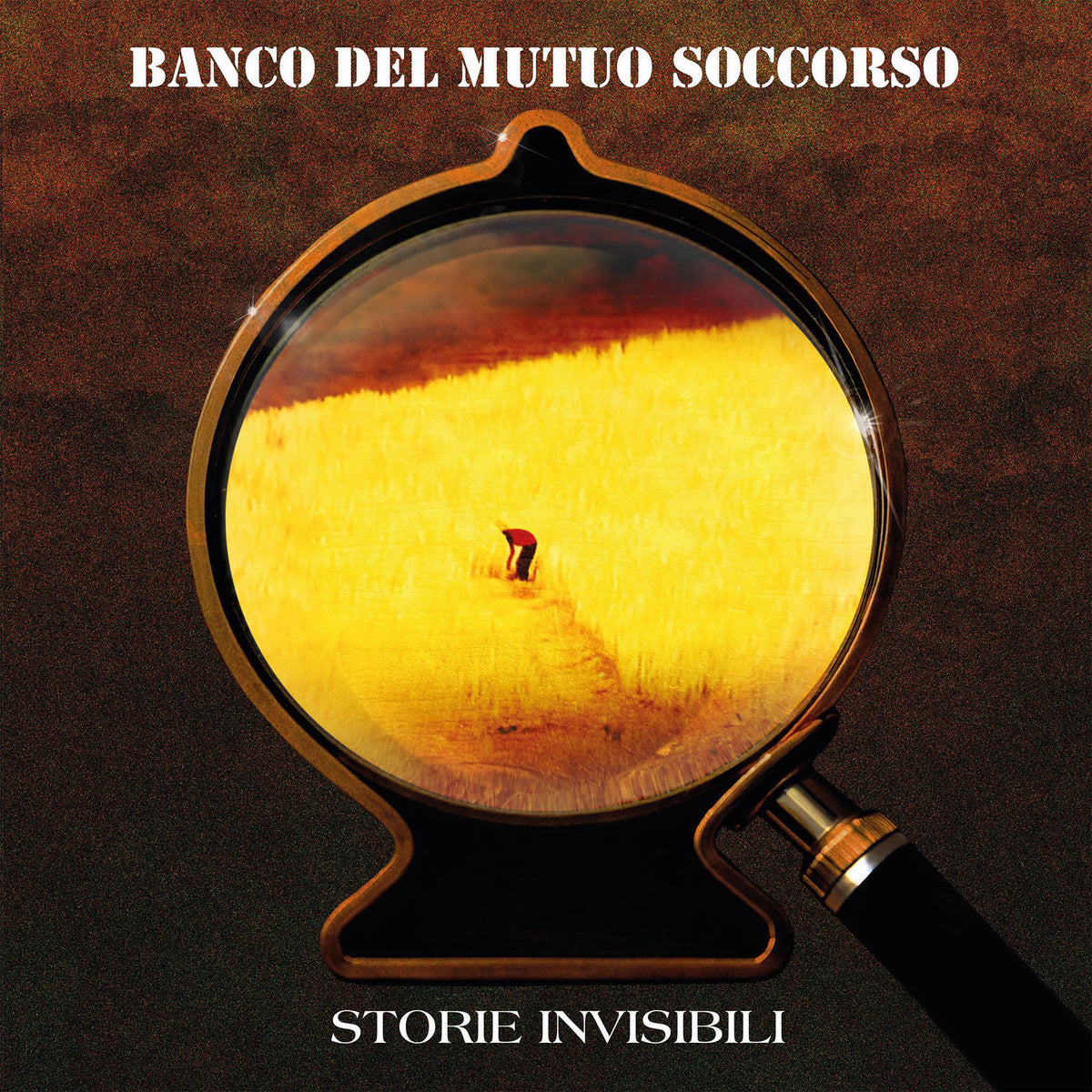Banco Del Mutuo Soccorso – Storie Invisbli — album cover
