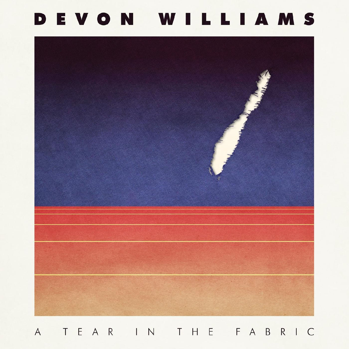 Devon Williams – A Tear in the Fabric vinyl cover