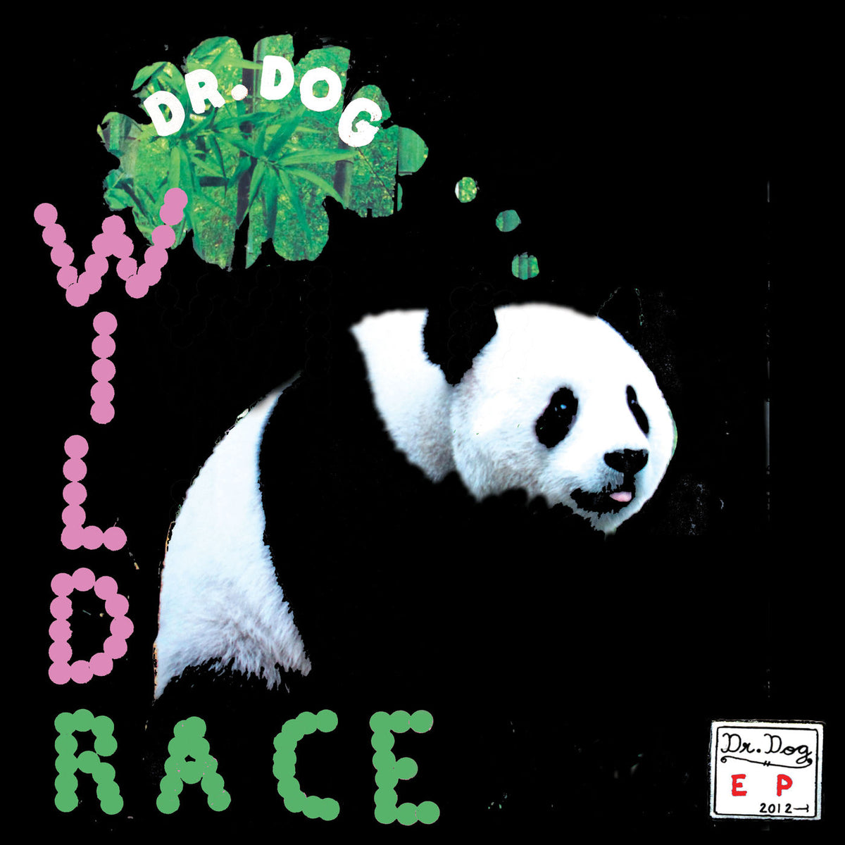 Dr. Dog – Wild Race vinyl cover