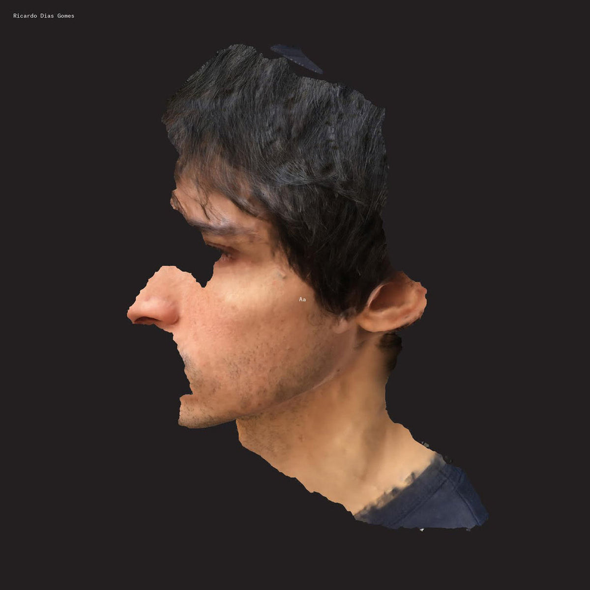 Ricardo Dias Gomes – Aa vinyl cover