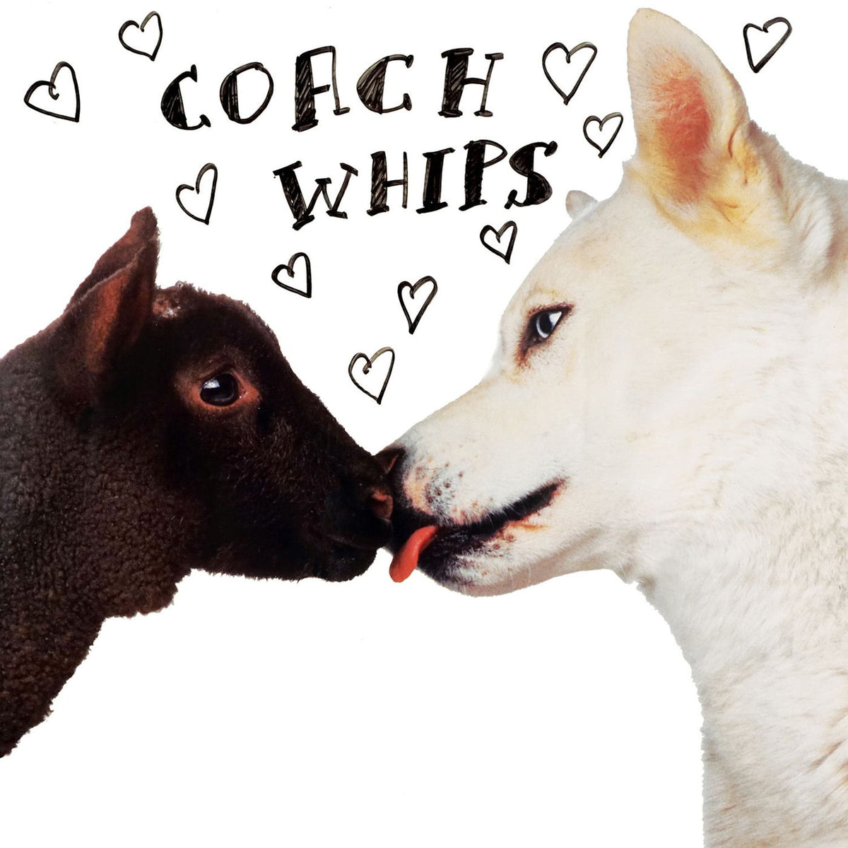 Coachwhips – Bangers Vs. Fuckers vinyl record cover