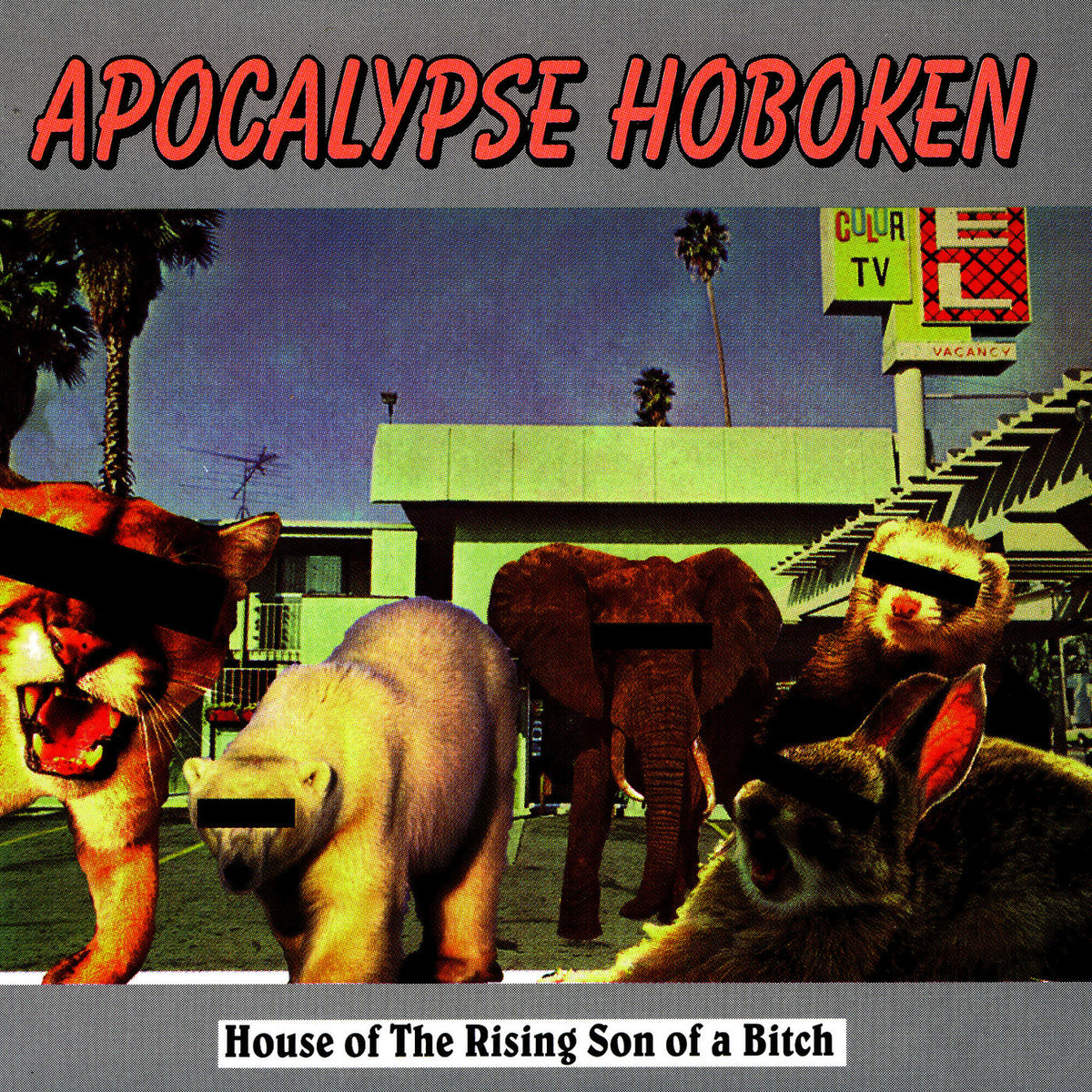 Apocalypse Hoboken – House Of The Rising Son Of A Bitch (Red Vinyl) vinyl record cover