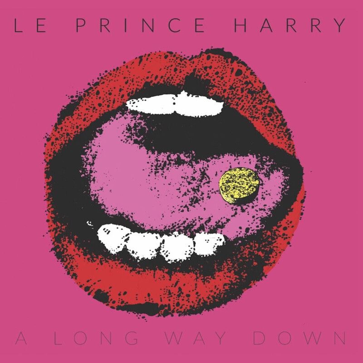 Le Prince Harry – Long Way Down vinyl record cover