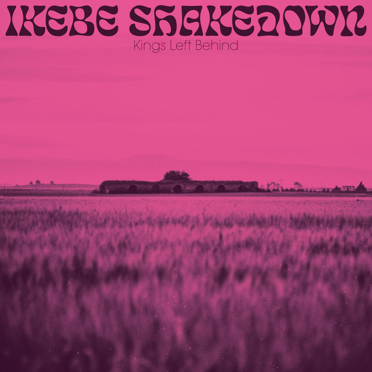 Ikebe Shakedown – Kings Left Behind vinyl cover