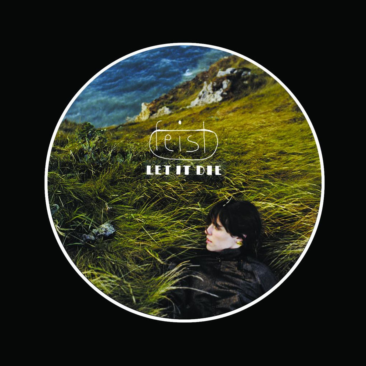 Feist – Let It Die vinyl record cover
