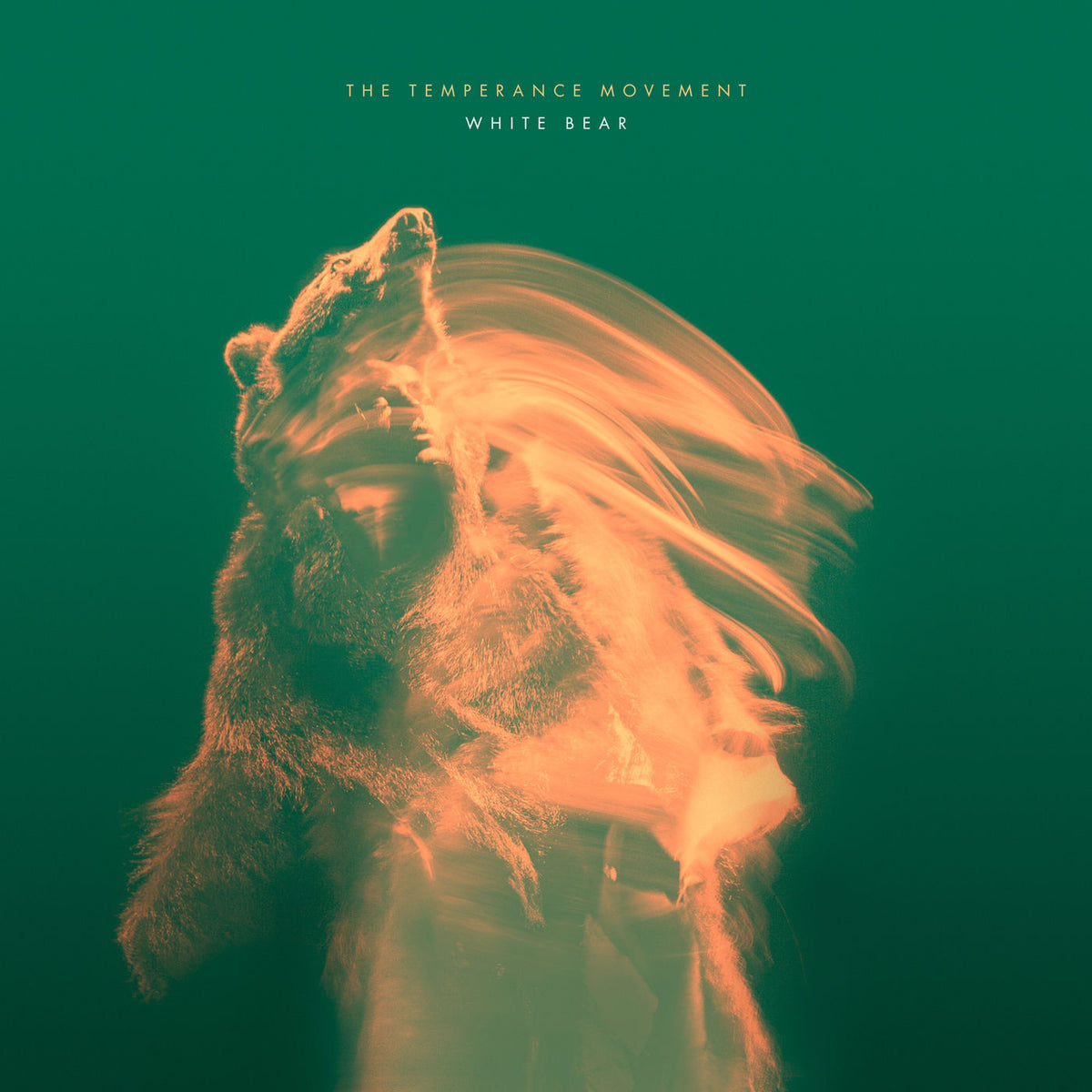 The Temperance Movement – White Bear vinyl cover