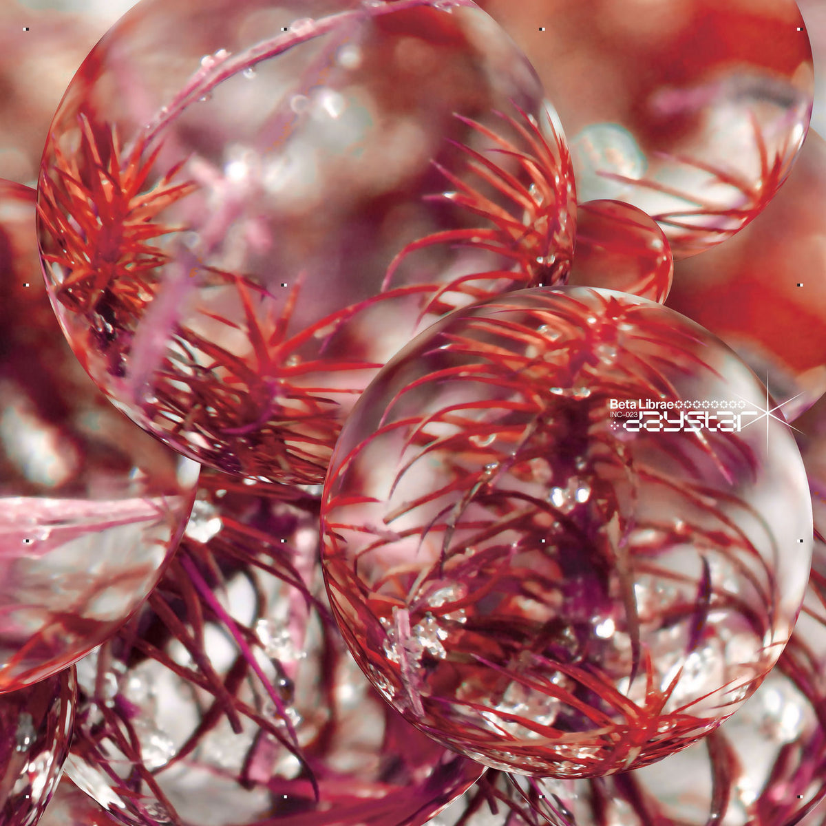 Beta Librae – DAYSTAR vinyl cover