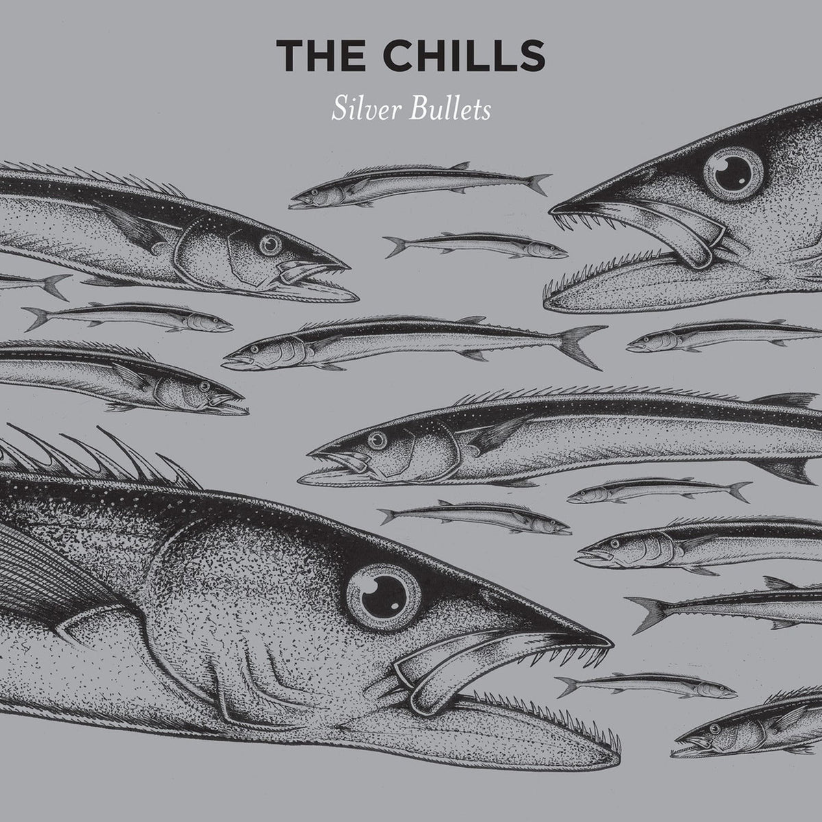 The Chills – Silver Bullets vinyl cover
