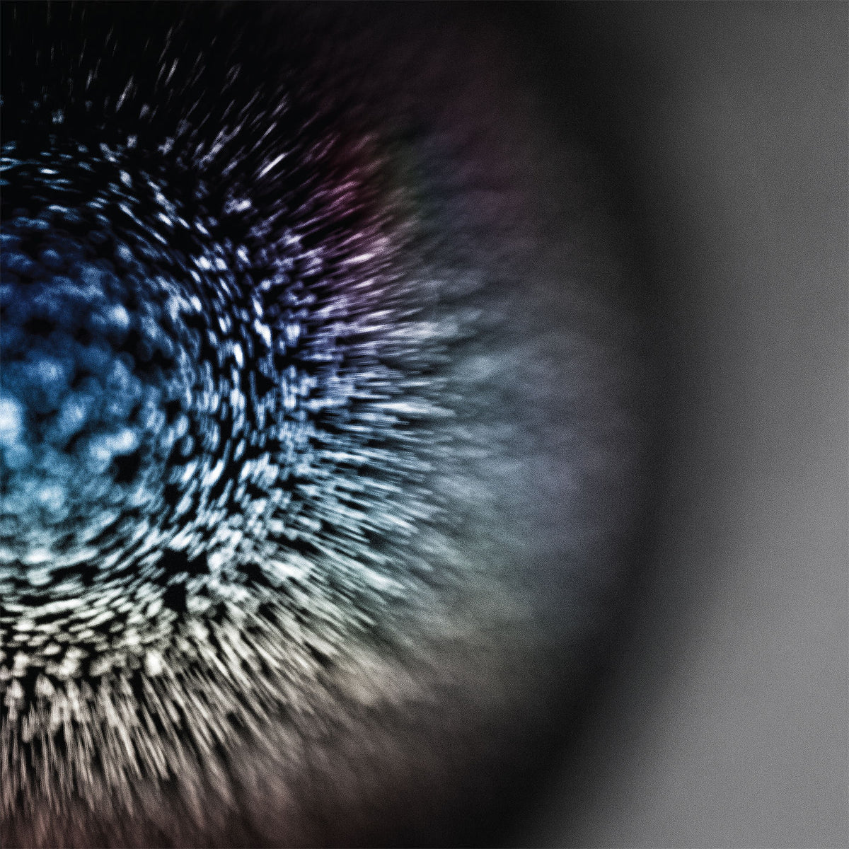 Emptyset – Blossoms vinyl record cover
