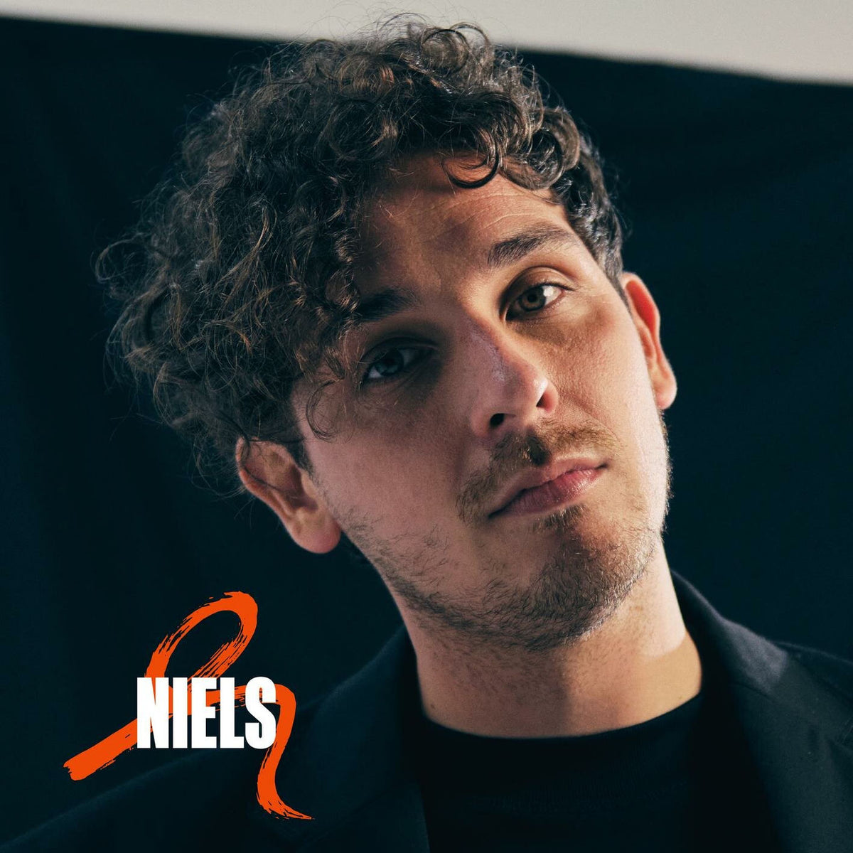 Nielson – Niels vinyl record cover