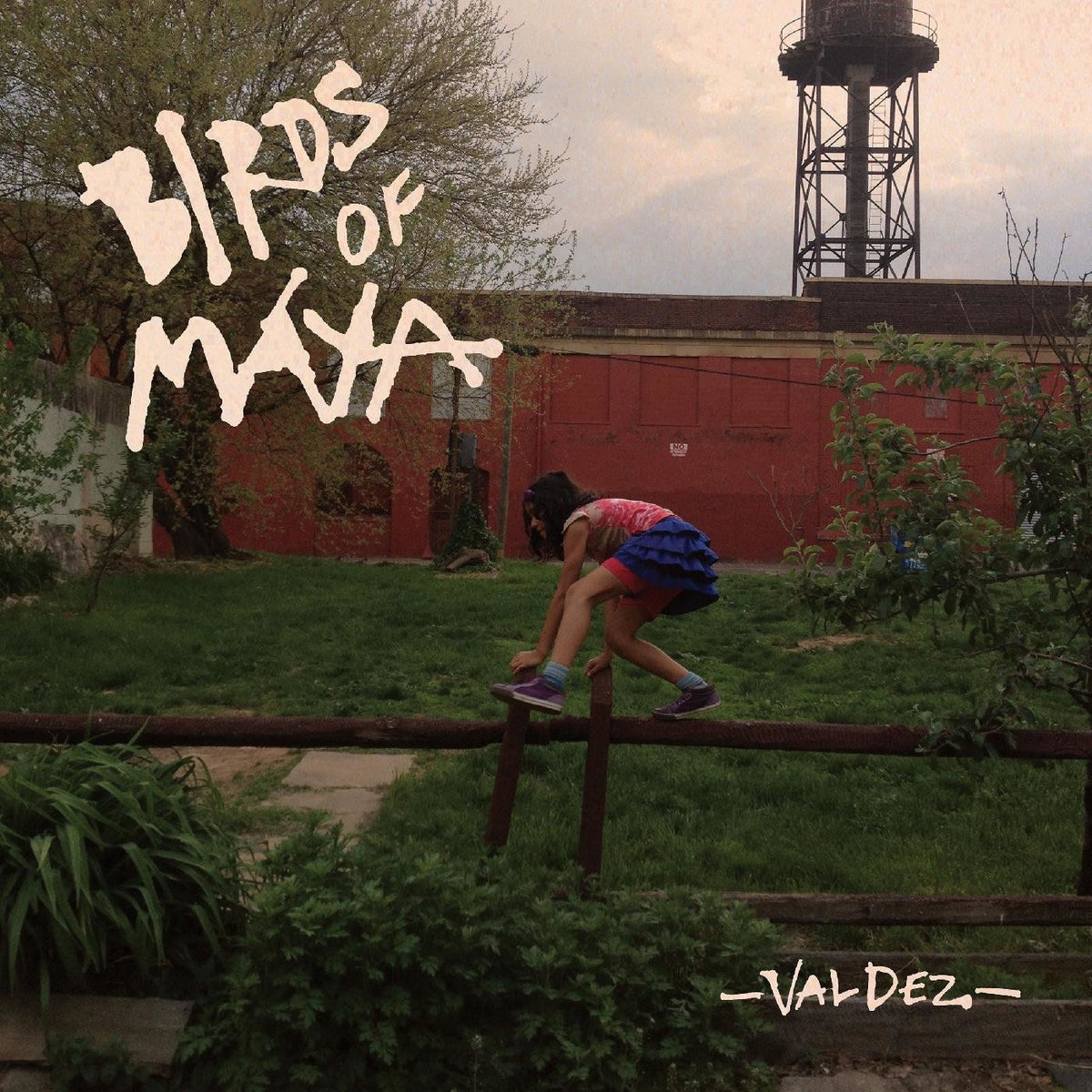 Birds of Maya – Valdez vinyl record cover