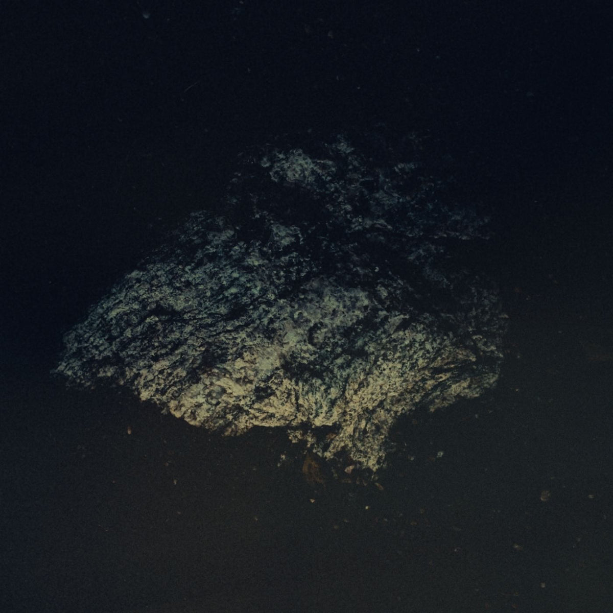 Multicast Dynamics – Lost World vinyl cover