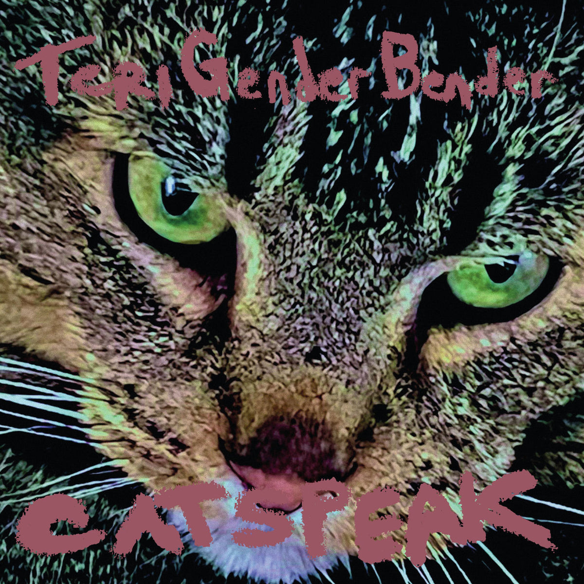 Teri Gender Bender – CATSPEAK vinyl cover