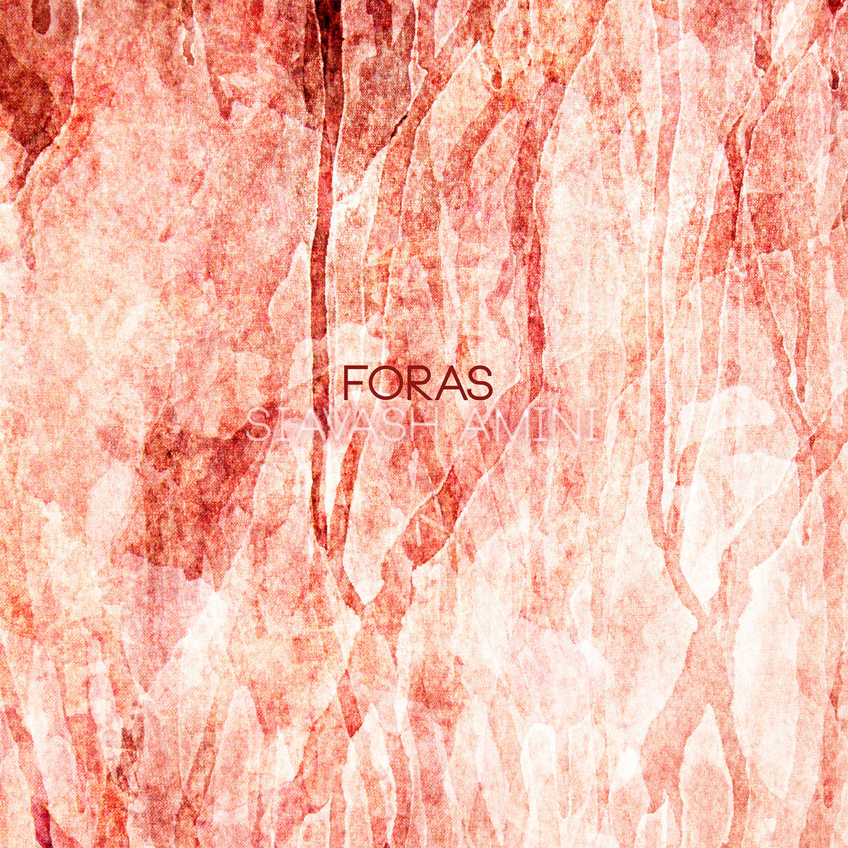 Siavash Amini – FORAS vinyl cover