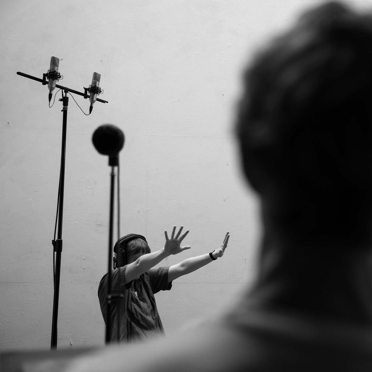 Musarc – Affordances vinyl cover