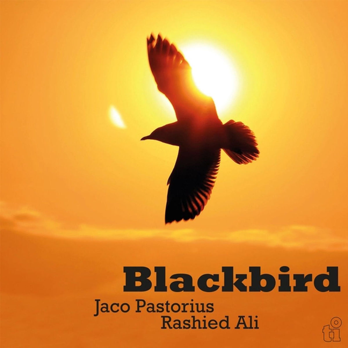 Jaco Pastorius – Blackbird (Live) vinyl cover