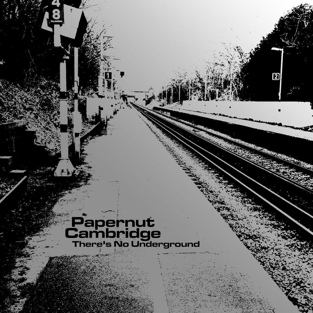 Papernut Cambridge – There's No Underground vinyl cover