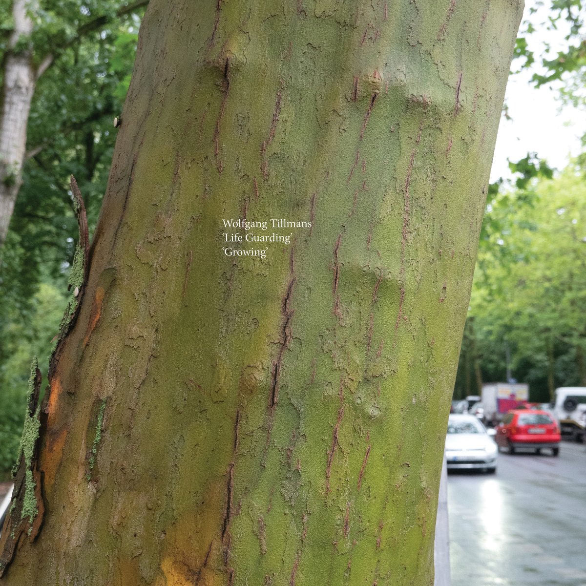 Wolfgang Tillmans – Life Guarding / Growing vinyl cover