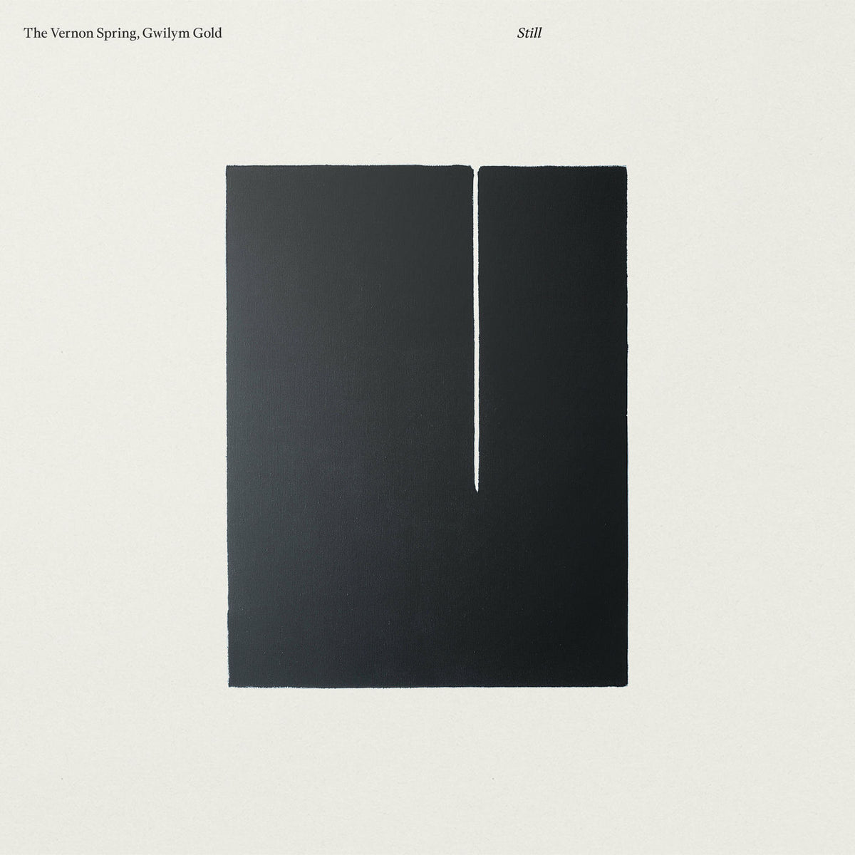 The Vernon Spring – Still vinyl cover