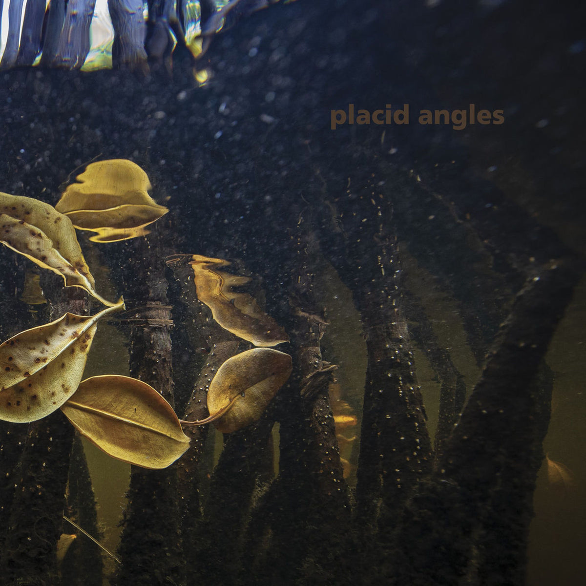 Placid Angles – Touch the Earth vinyl cover